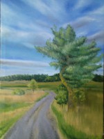 /album/platna/dsc03682-jpg/