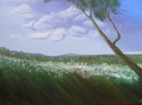 /album/platna/p1020344-jpg/